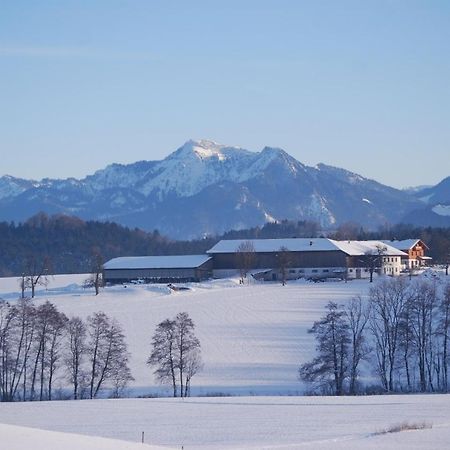 Auf'M Reifnhof Villa Riedering Kültér fotó