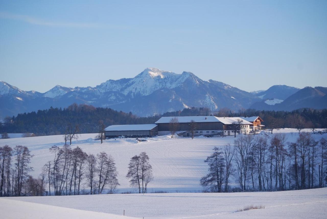 Auf'M Reifnhof Villa Riedering Kültér fotó